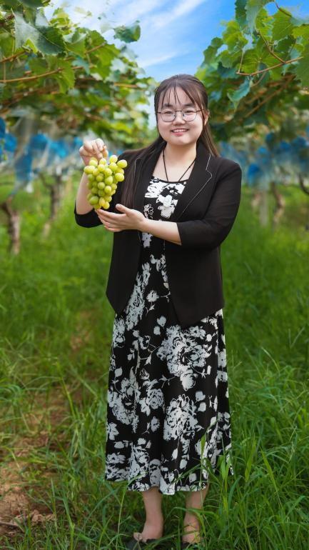 西安高新区葡萄采摘攻略：邂逅田园美味，共赴甜蜜之约
