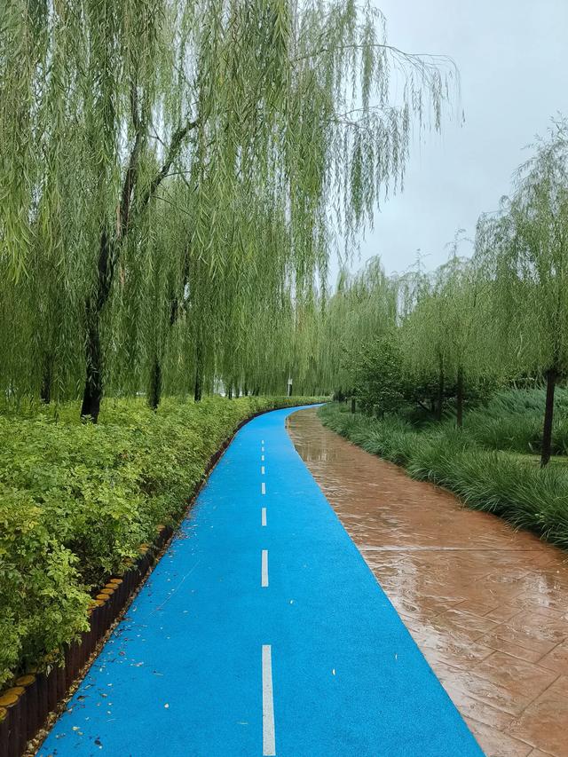 天津小雨中的《水上公园》