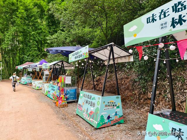 成都徒步（66）·邛崃篇⑥皮缝峡谷·皮缝古道