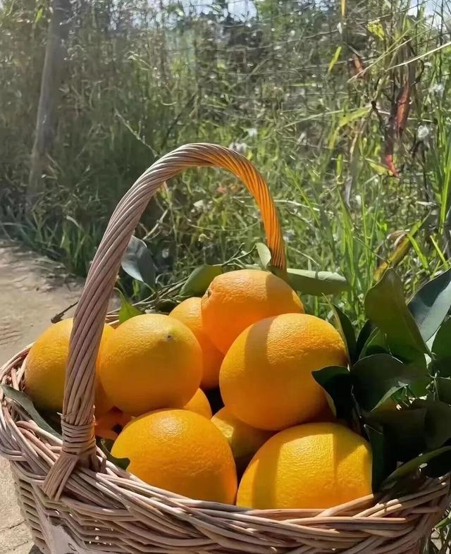 被一阵风吹来了大凉山，不想离开了！