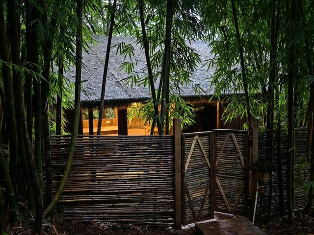 眉山天府新区又有好耍地儿了！速来打卡~