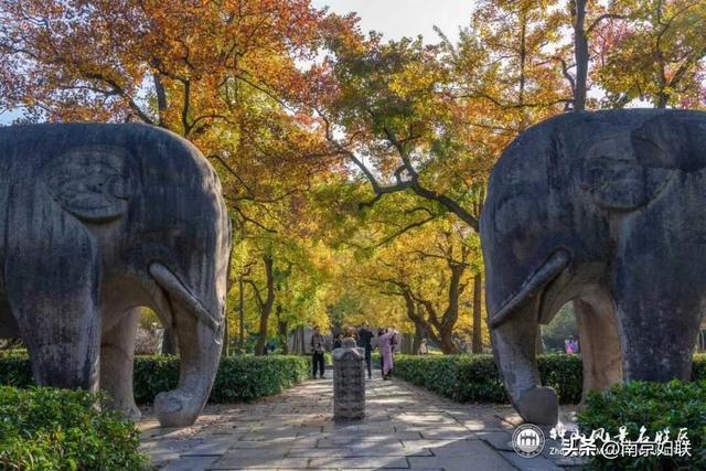 给个准信！盼了又盼的秋日“顶流”全部上线