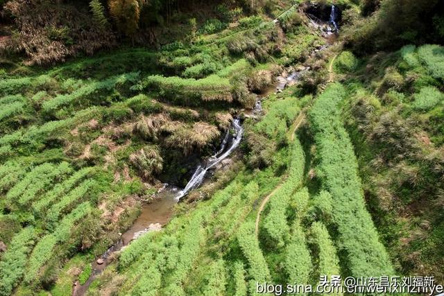 婺源篁岭旅游札记[三]（江西之旅第四十五篇）