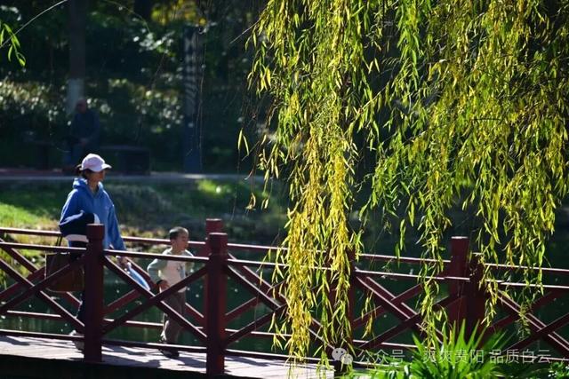 【爽游白云】曹关湿地公园的限定秋色