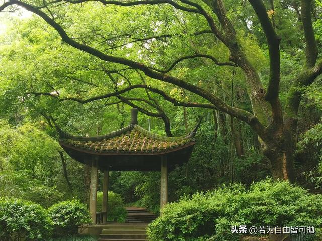 山水画中行：桐庐二日闲散游