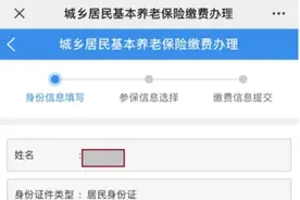 快查查您缴费成功了吗！城乡居民基本养老保险缴费接近尾声图片