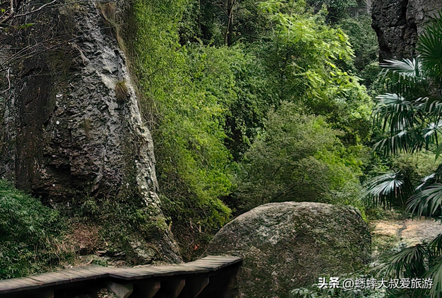 浙江“天花板古道”真棒，一路绿野仙踪，为懒人周末充电地！
