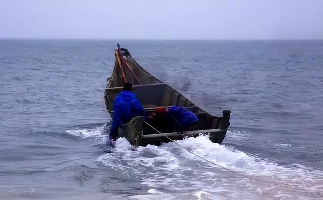 金钱花胶价格 2025年金钱花胶图片