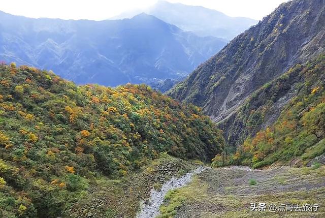 成都彭州的魔幻彩林，都不要门票！壮观、唯美、浪漫，无不惊艳！