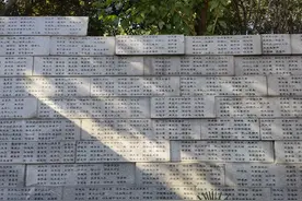 国家公祭日为什么是12月13日？国家公祭日我们可以做些什么？图片