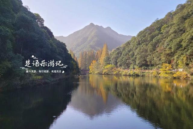 宁波这个丛林秘湖又火了，银杏与红枫美成油画，很适合拍照与休闲