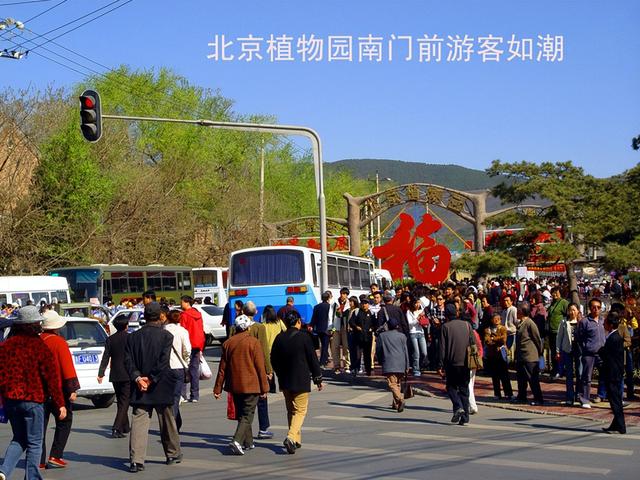 北京旅游：走进西山脚下的植物园（图）