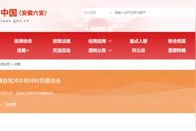 非法占用、改变林地用途！安徽两村委会被罚图片