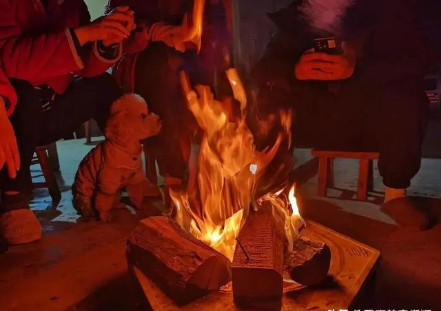 今年三九天太反常！老话“最怕三九暖	”，背后藏着2个大麻烦