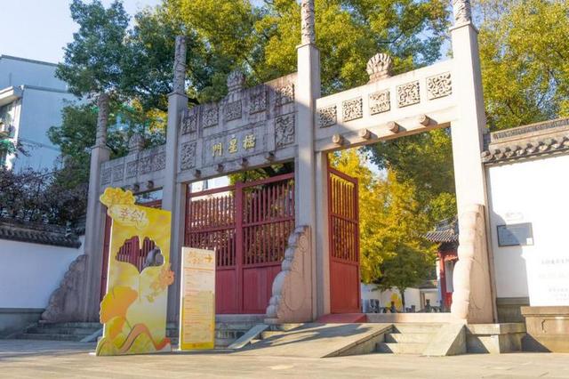 杭州孔庙碑林银杏季启幕，推出多项文化体验活动邀市民共赏“金色盛宴”