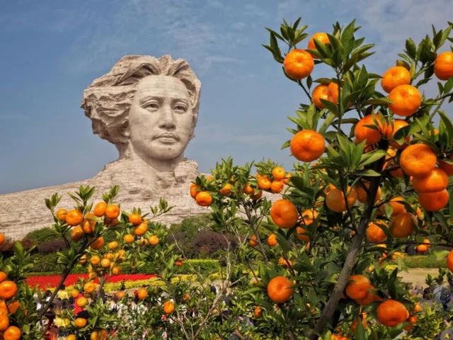 橘子洲，又见橘红染湘江