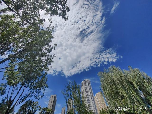 预想中的citywalk被一辆公交车阻断,之后