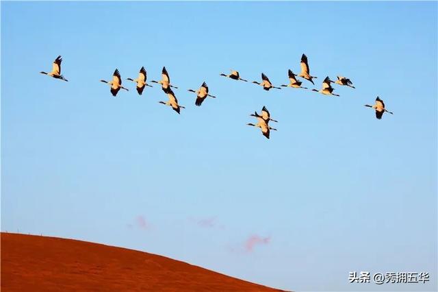 冬之云南 万羽衔霜｜新霞客·旅居记