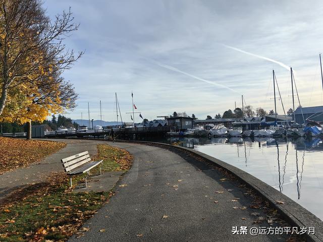 温哥华游记（四）