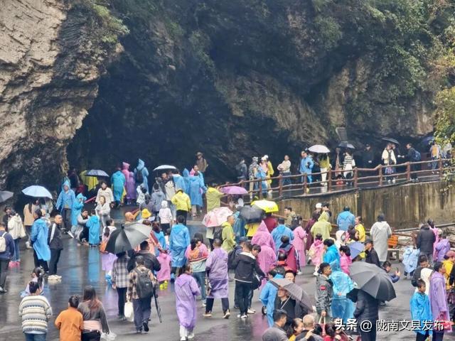 350.77万人！20.25亿！生态陇南从“爆火”到“长红”