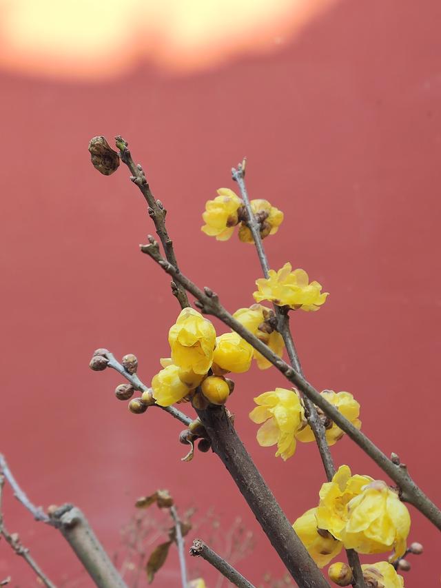 无锡往事：《水弄堂里水仙庙》（作者 张余忠 吴炯）