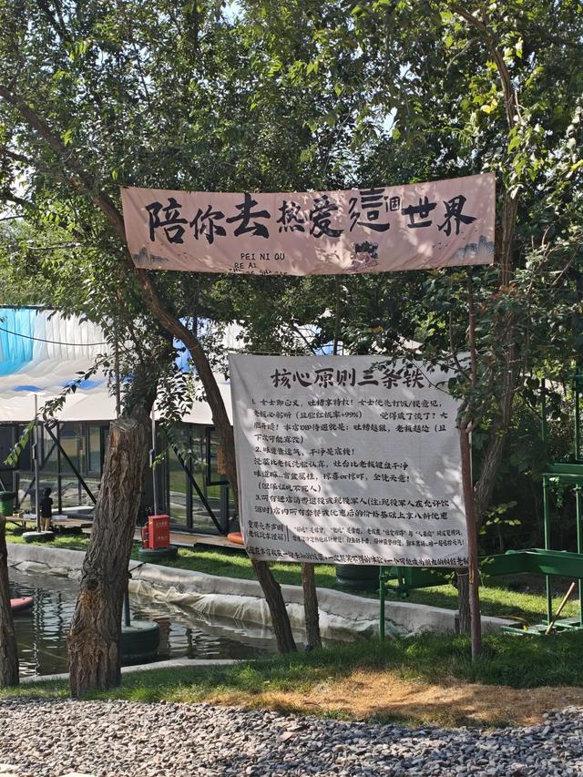 乌市水磨沟公园里的露营地，在柏油路边叫“星野拾光”，来过吗？