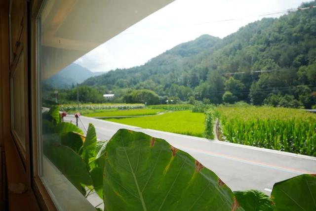 留坝：22℃的夏日康养地
