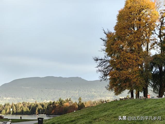 温哥华游记（一）