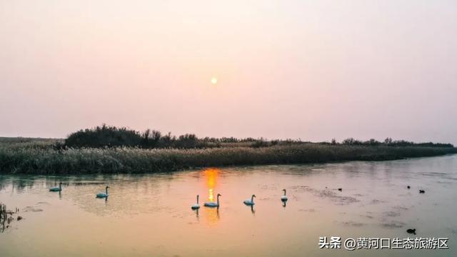 【黄河口生态旅游区】“12.4”国家宪法日——当黄河潮涌遇见法治之光