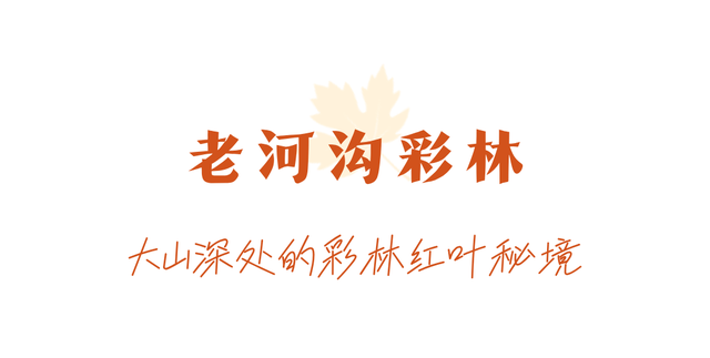 走不出这画了，我已被平武的彩林迷倒！