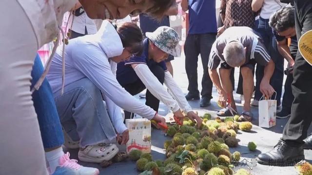 黄甲镇黄铺村首届板栗丰收文化节成功举办