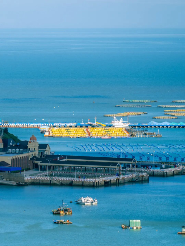 到“浙”里，赴一场初冬看海之约！