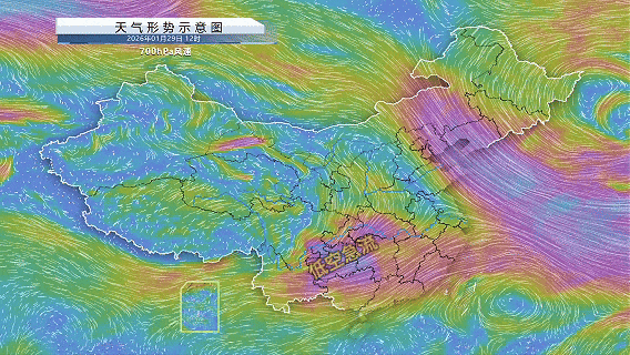 中雪！大雪！暴雪！今天下午到夜里，河南雨雪“速战速决”