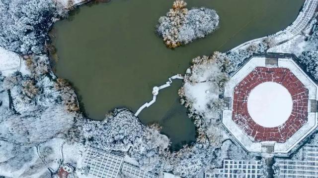 新年第一站,我先冲了!