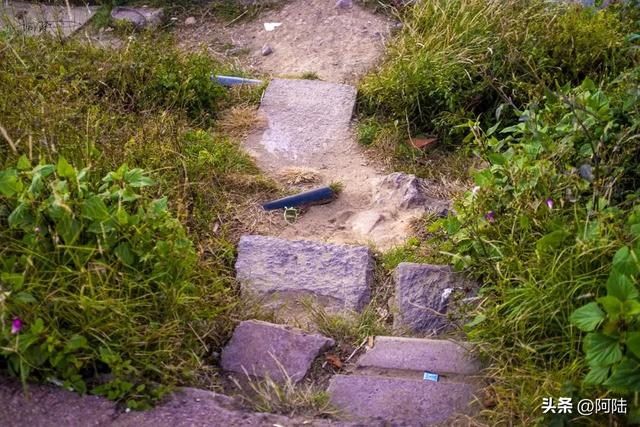 洱海的湿地公园很多，这几座孤岛风景不错，只是唯一的浮桥太晃荡