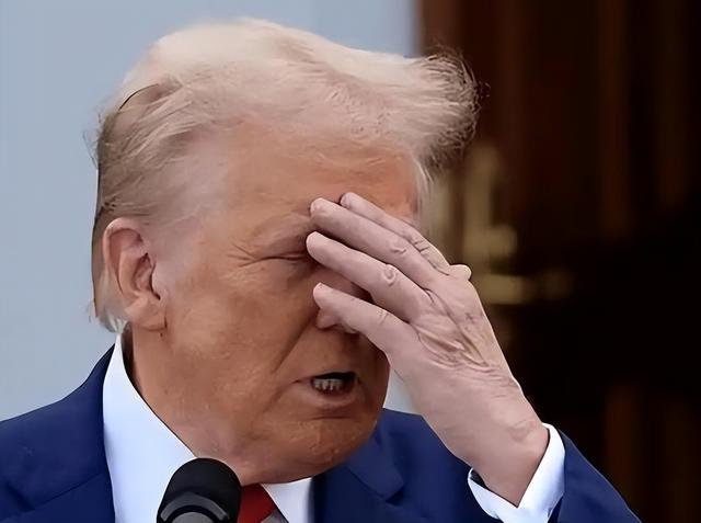 特朗普按时履行中美会晤承诺，美国带头降低关税，释放合作信号