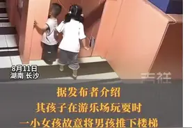 闹大了！女孩游乐园故意将男童推下楼梯，家长做法惹众怒！图片