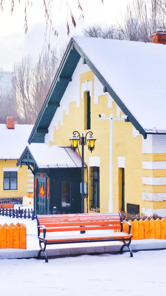 小雪｜哈尔滨拍照氛围感，拿捏！