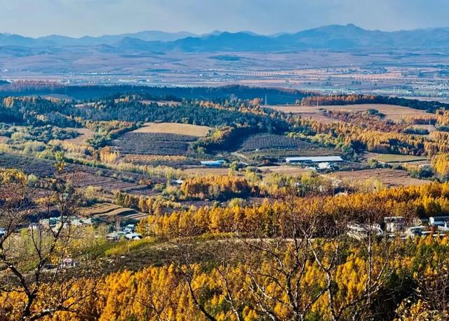 藏不住了！延吉的秋天美成这样，邀你共赏斑斓盛景