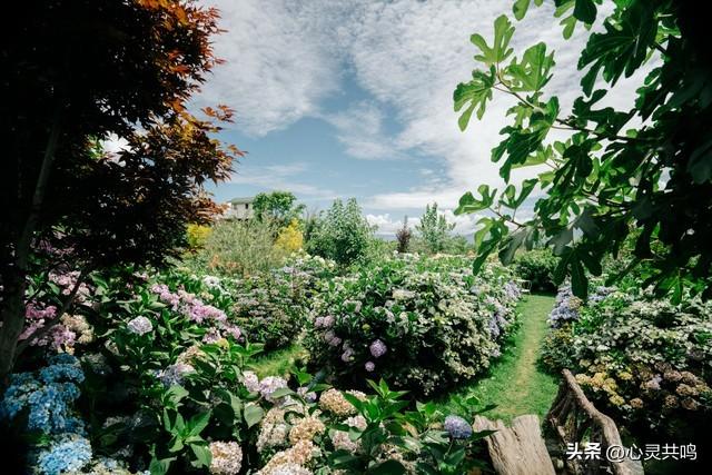 两性关系；不管你信不信	，女人过54岁，都有如下7个症状，要接受