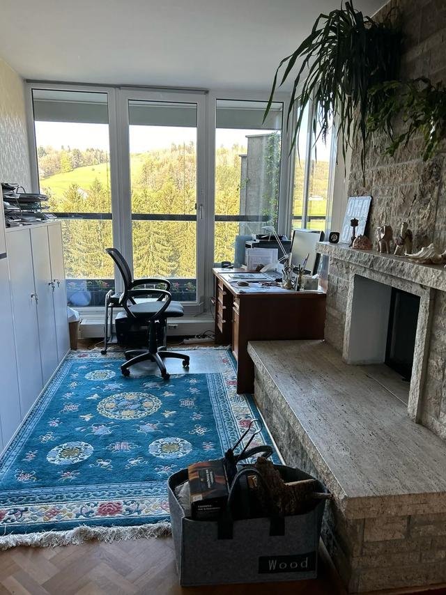 《 再见，德国 》