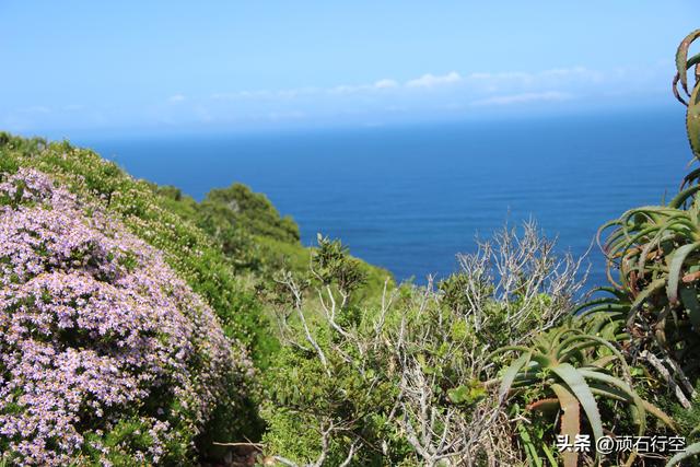 南部非洲：南非好旺角