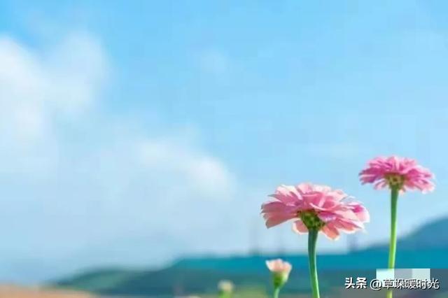 两性关系：55岁女人的大实话，男人过了50岁，只剩下一个“用处”