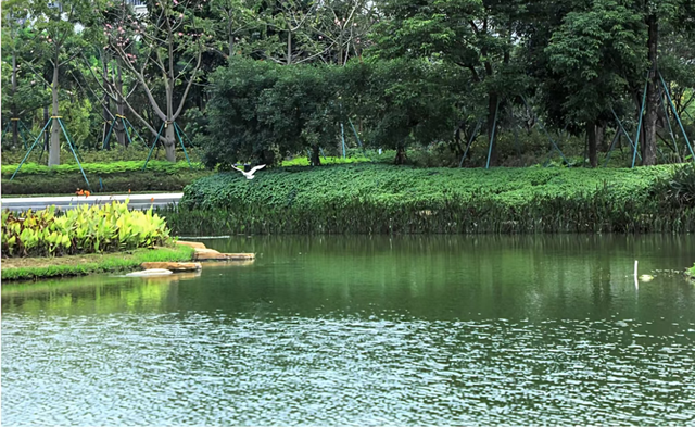 大美湿地“深”有诗意