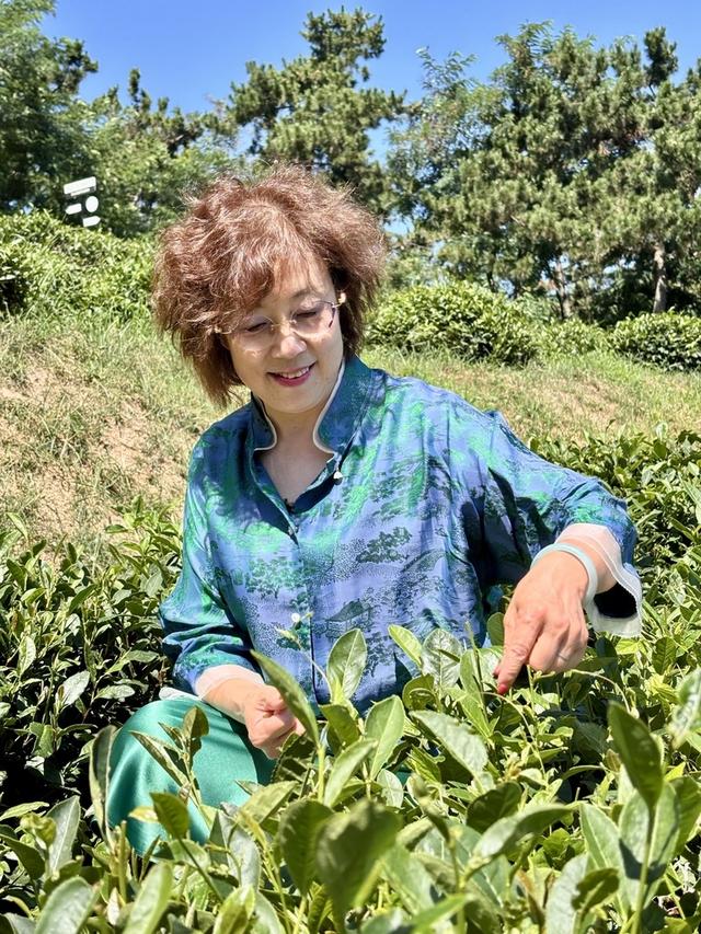 假日休闲哪里去？记一位大学女教授的假日休闲时光