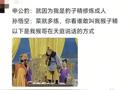 有人问，孙悟空到底有多强？评论区的比喻一针见血图片