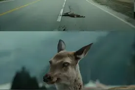 “僵尸”病毒成真？感染后大脑空洞，在美国蔓延，恐传播给人类图片