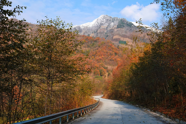 走不出这画了，我已被平武的彩林迷倒！