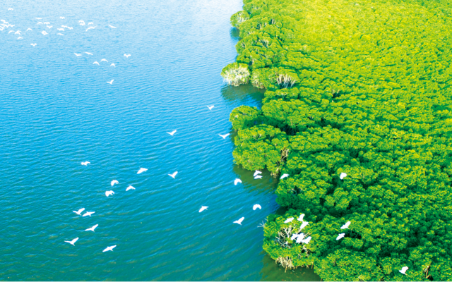 欢乐节 | 清凉一夏海南度假，海口真好玩→