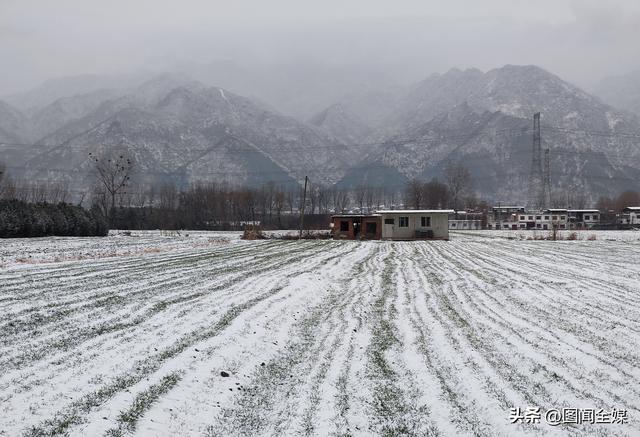 雪后初霁，终南山下麦田披“雪被” 长安黄良宛如仙境！